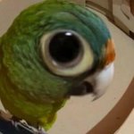 Photo by DalizerD (@DalizerD)