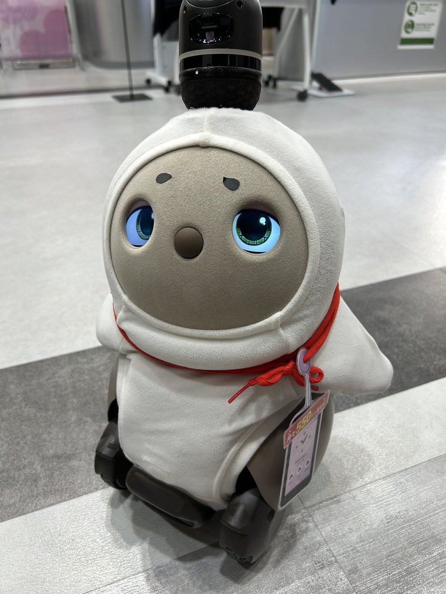 Mugitya_owo's tweet photo. 歩いてたらお店で働いてる子が居た。眉毛あった😂 https://t.co/PqCPiM2fGZ