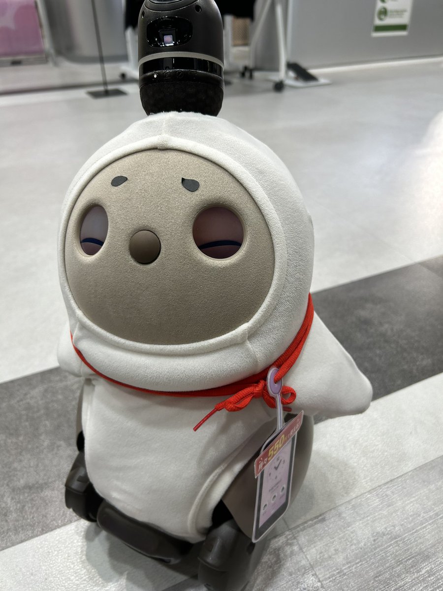 Mugitya_owo's tweet photo. 歩いてたらお店で働いてる子が居た。眉毛あった😂 https://t.co/PqCPiM2fGZ
