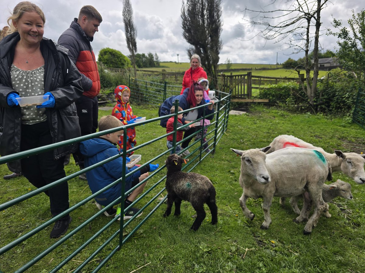 OpenFarmSunday's tweet photo. 15% of the 196,000 Open Farm Sunday visitors this year stepped onto a working farm for the very first time.

Every first visit is an opportunity to spark curiosity, challenge perceptions &amp; build a deeper understanding of farming.

💬 Were you one of this year's visitors? https://t.co/t9QEchDmJu