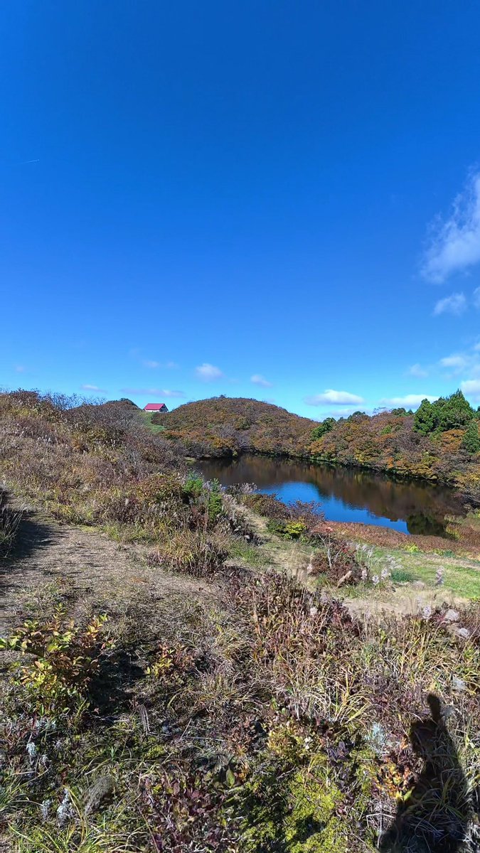 hy_jim's tweet photo. 佐渡の思い出②
稜線は見晴らしが素晴らしく何度も立ち止まって撮影タイム📷
エイドのおけさ柿がメチャメチャ美味しくて家族へのお土産に😋 https://t.co/XLoKPoNEyM