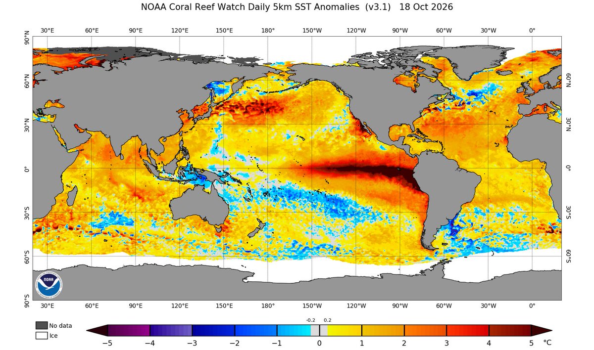 picazomario's tweet photo. 🌍 ¿Y si el próximo gran El Niño dejara consecuencias que durasen décadas?

El súper El Niño de 2026-2027 podría convertirse en uno de los más intensos de la historia. Pero lo verdaderamente preocupante no es solo su magnitud, sino lo que podría ocurrir después.

🔥 Sequías extremas, inundaciones, nuevos récords de temperatura y ecosistemas como la Amazonia o los arrecifes de coral al límite. En un planeta cada vez más cálido, un fenómeno natural como El Niño podría acelerar transformaciones difíciles de revertir.

¿Estamos ante un punto de inflexión para el clima de la Tierra?

Os cuento qué sabemos y qué podría suceder en este artículo. 

https://t.co/NafA4rFyEg

#ElNiño #CambioClimático #Clima #CalentamientoGlobal #Meteorología