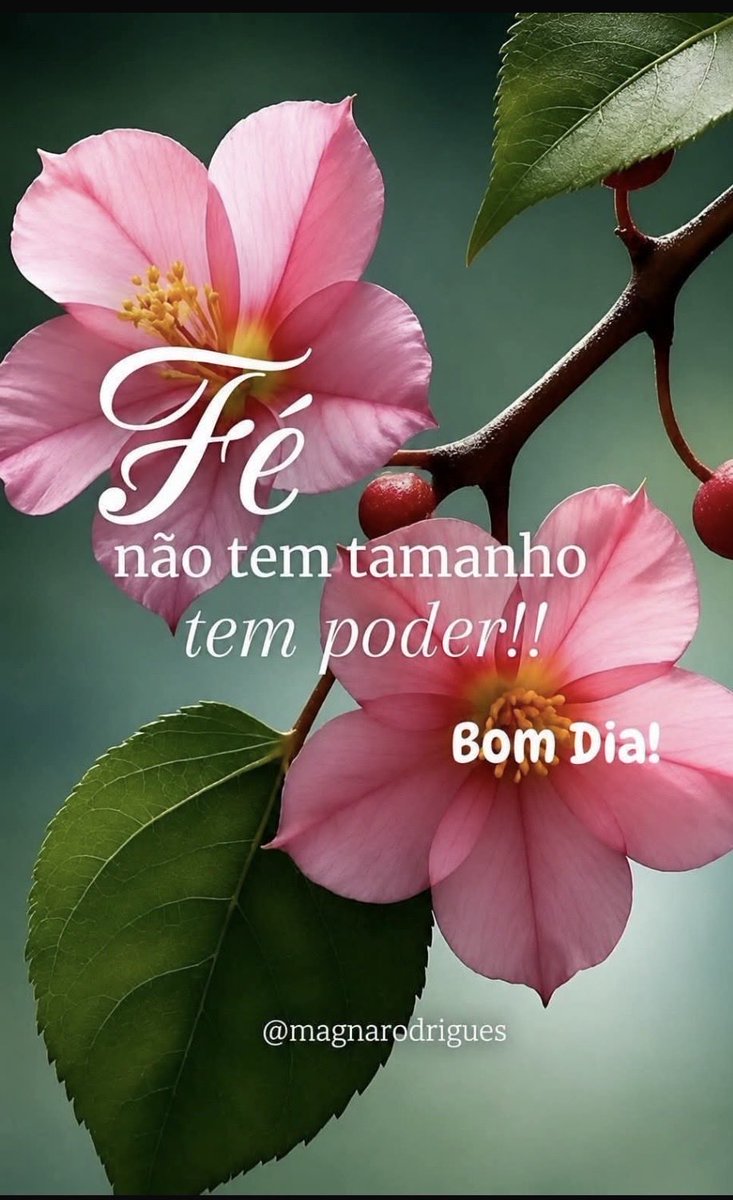 Alessan95516275's tweet photo. O que alimenta  a nossa fé é a oração. 
Não  deixe de falar com  DEUS…
Bom dia amados! https://t.co/pWNRZC7IXI