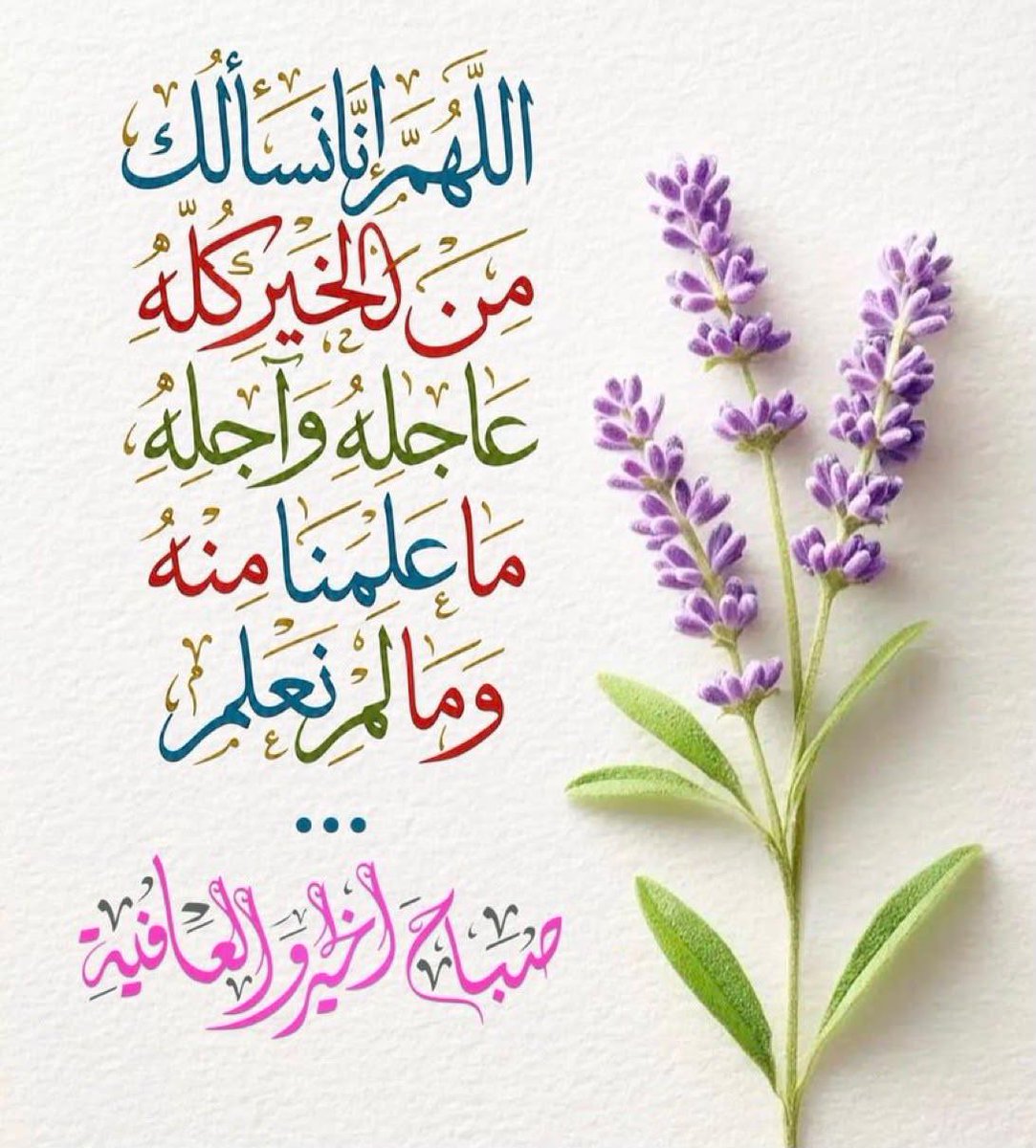 RGamgom's tweet photo. @CabtenHaroun @ALali6002 @09GAsF29D7hodaR @orjwan_s @AmalHas9654849 @ahmedabdelras13 @alreem0222 @AmrElshazl27093 @OcBuv @H1Alshreef https://t.co/MYMz8jv8qz