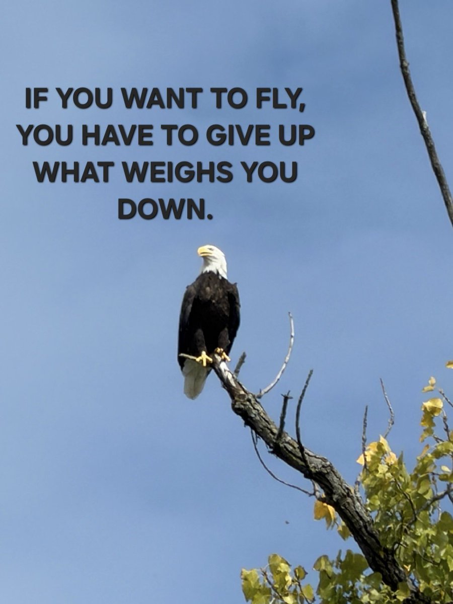 Sandro_G71's tweet photo. #motivated #mindset #levelup #influencer #entrepreneurlifestyle #dreamcatcher #dreamchaser #millionairelifestyle #millionairemindset #leadership #successquotes #success #vision #hardwork #selfimprovement #selfeducation #selfemployed #livelife #finishstrong #goalsetting #wealth https://t.co/wuo929Ntpg