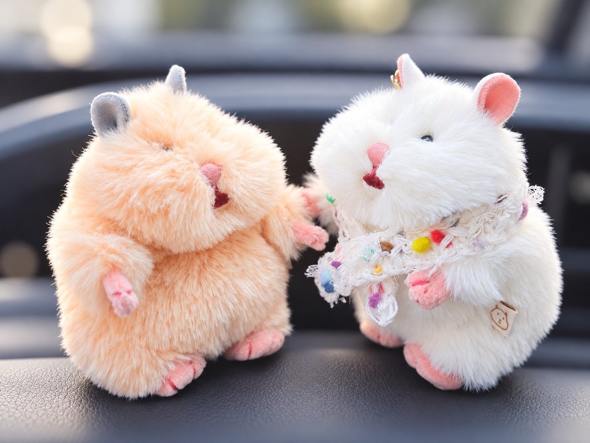 8b_hachi's tweet photo. 先日の出会いの写真🐹📷🤍 https://t.co/uC9VRaiUKI