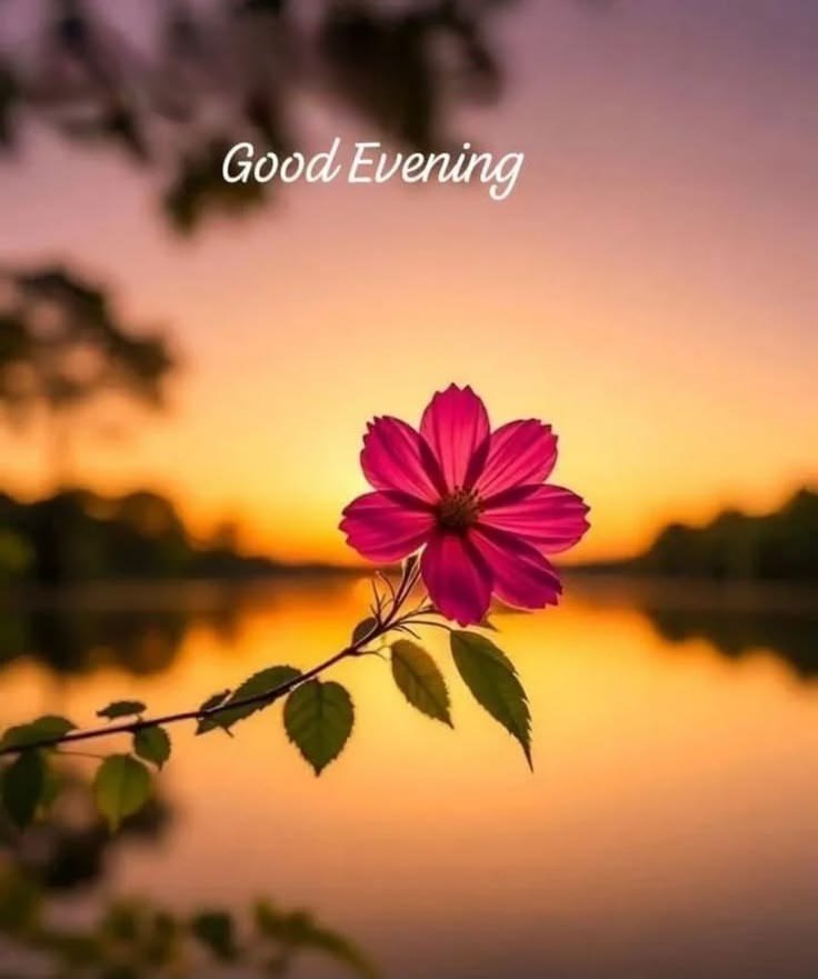 ParwezAliK2265's tweet photo. Good Evening Everyone! https://t.co/MpaPkZWrqm