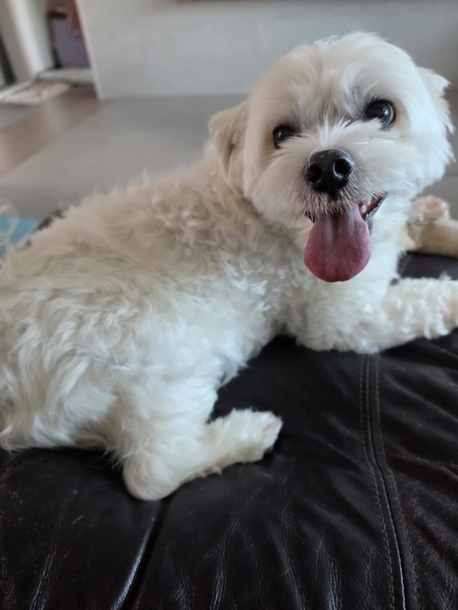 woncattos's tweet photo. 🌟 💌JUNGWON weverse dm #JUNGWON #정원 sent a photo!

MAEUMI PHOTOS 😭😭😭 https://t.co/MY3jPRXfbK