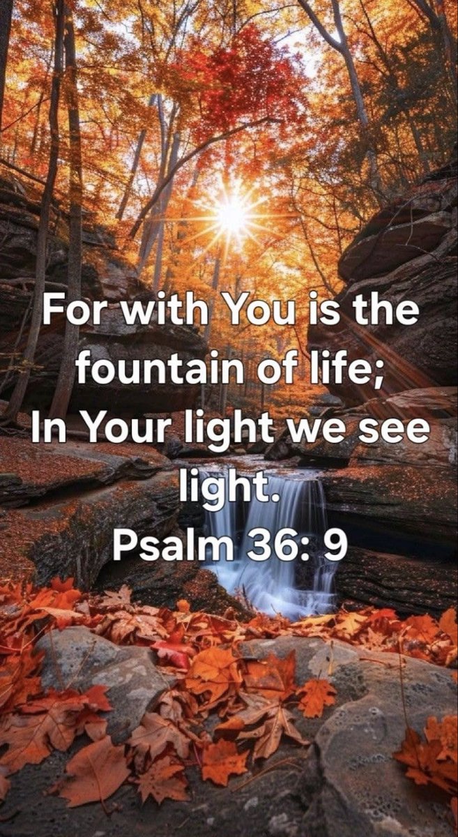 ohnochip's tweet photo. Good Morning Family,
Yโall have a productive and blessed day in the Lord ๐๐ป๐๐ปโ๏ธโ๏ธ
#PrayHard https://t.co/w36mlcJTPL