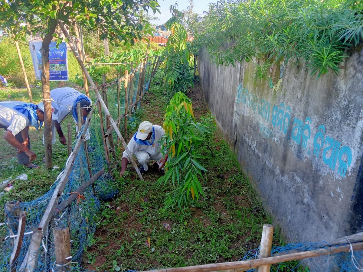 sathyasaiodisha's tweet photo. Loving Sairam..
With the Blessings of Bhagawan Sri Sathya Sai Baba, Swachhata Ru Divyatwa sanitation Seva was undertaken by the brothers of Aali Samithi of Kendrapada District, on 17.10.2026 in the area surrounding the Prema Tharu. 
#SwachhataRuDivyatwa
#Kendrapada
-Media Team https://t.co/7ok2iskX1x