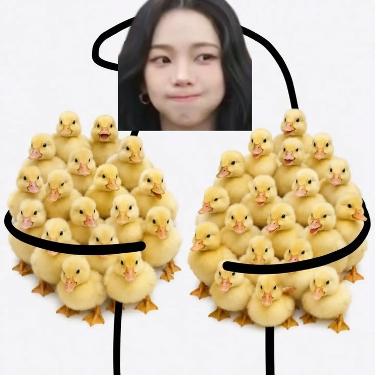 soofiajoanna's tweet photo. @klarinacom Wujud Klarina dan bebek-bebeknya. https://t.co/NdENILpIOg
