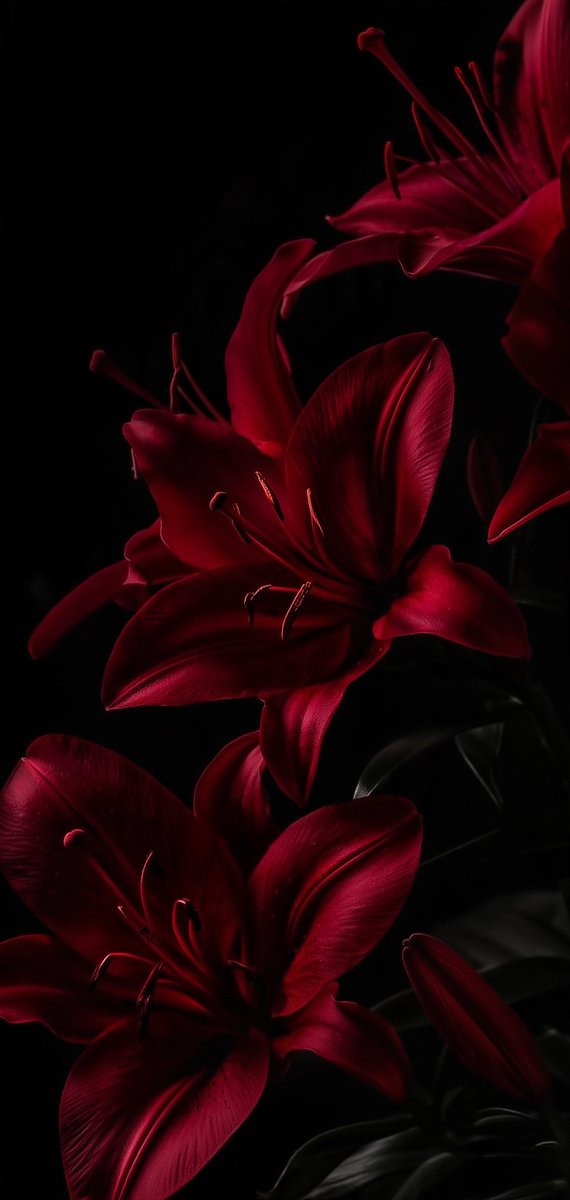 wallpaperscapes tweet picture