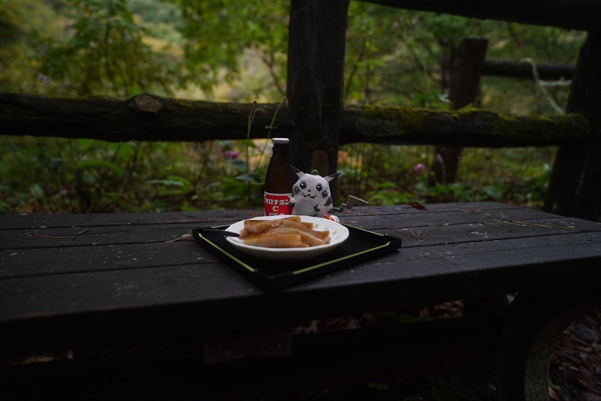 mozupsychol's tweet photo. 食事とるたびに写真撮る旅に。 https://t.co/wZqGPmqwPW