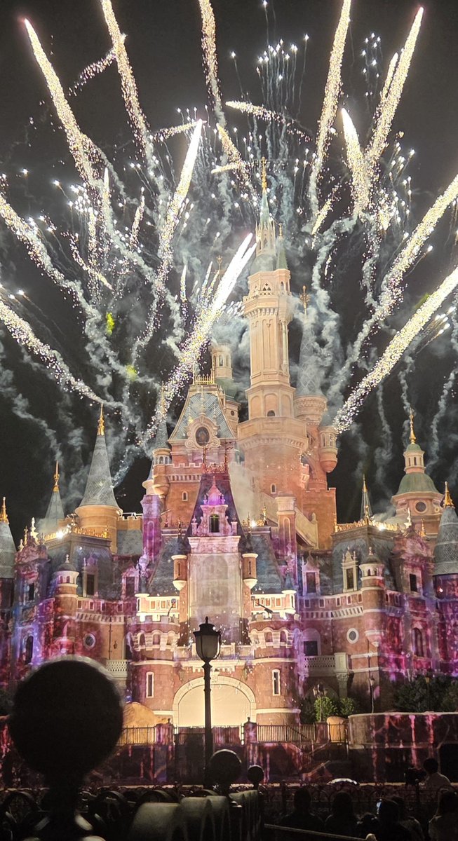 Wells_1983's tweet photo. 上海ディズニー、総じて最高に楽しかったです！！

良かった点
・質の良いエンタメが豊富(公演回数も非常に多い)
・キャストが優しい(フレンドリーかつ大量に配置されているので心身に余裕がある人が多い)
・アトラクションが神(トロン、カリブ、ズートピア)

悪かった点
・和　式　ト　イ　レ　多　い https://t.co/fIQ5W0F3WQ
