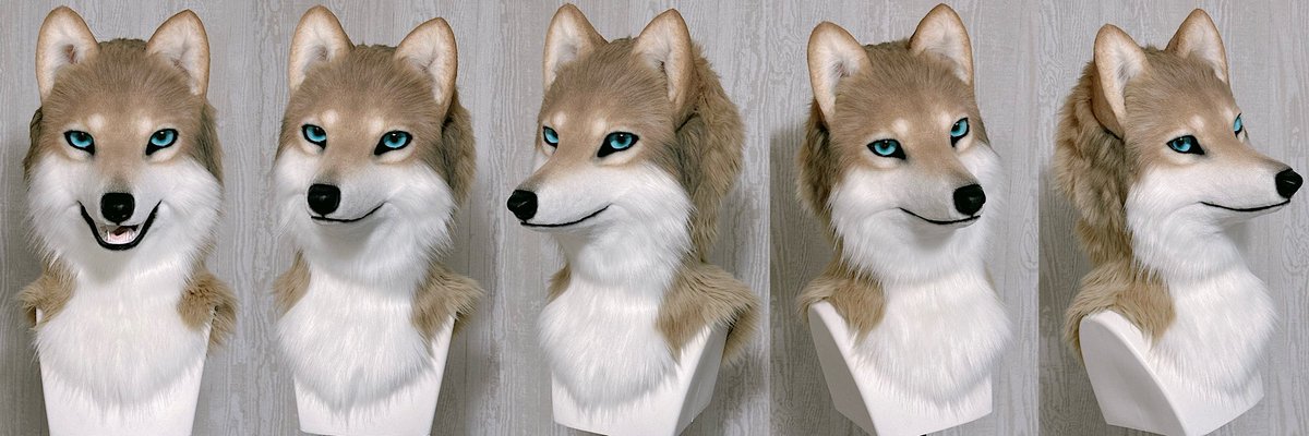 FurticStudio's tweet photo. 【FOR SALE】

新しい作品が完成しました🐺✨

頬から耳下にかけてちょっぴり焦げカラーが入った、薄茶系のオオカミさんです🥯

こちらの作品は本日より通常販売を開始いたします！
お迎えをご希望の方はXのDM、またはサイトのコンタクトフォームよりお問い合わせください✉️

📌 詳細
・販売価格：¥160,000
・サイズ：頭囲約60cm（ベルトと内部クッションで調整可能）
・顎可動
・後頭部にジッパーあり

よろしくお願いします🐑🐑🐑

#FurticStudio #fursuit #fursuitforsale