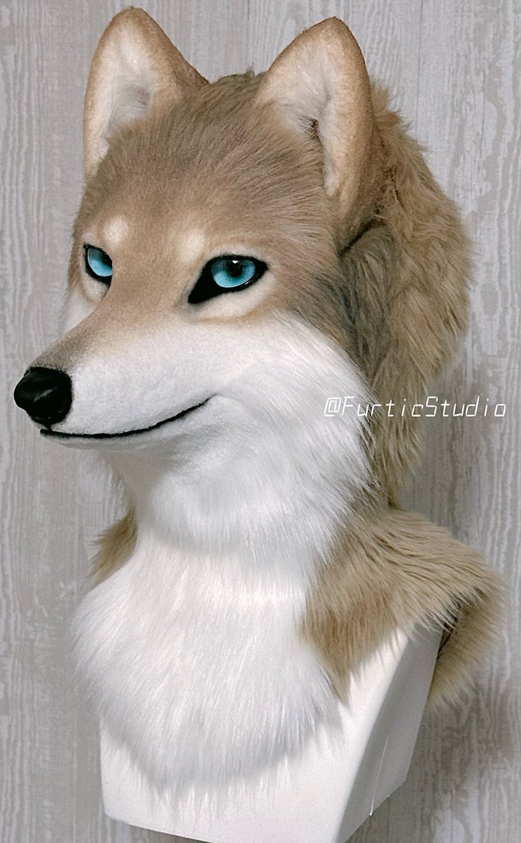 FurticStudio's tweet photo. 【FOR SALE】

新しい作品が完成しました🐺✨

頬から耳下にかけてちょっぴり焦げカラーが入った、薄茶系のオオカミさんです🥯

こちらの作品は本日より通常販売を開始いたします！
お迎えをご希望の方はXのDM、またはサイトのコンタクトフォームよりお問い合わせください✉️

📌 詳細
・販売価格：¥160,000
・サイズ：頭囲約60cm（ベルトと内部クッションで調整可能）
・顎可動
・後頭部にジッパーあり

よろしくお願いします🐑🐑🐑

#FurticStudio #fursuit #fursuitforsale