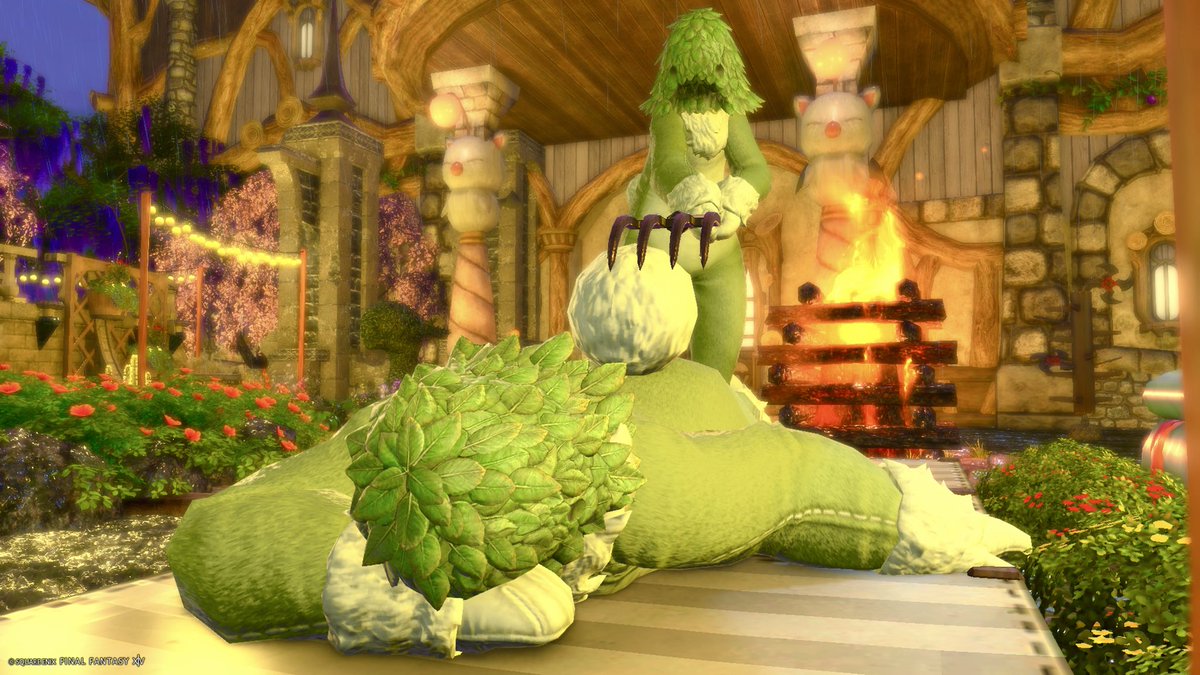 fede_aho_ff14's tweet photo. 1️⃣マスター背中かきますよ〜
2️⃣マナ様それはまずいですよ
3️⃣後輩2人にお手本を見せる(？) https://t.co/XSnNavIyY4