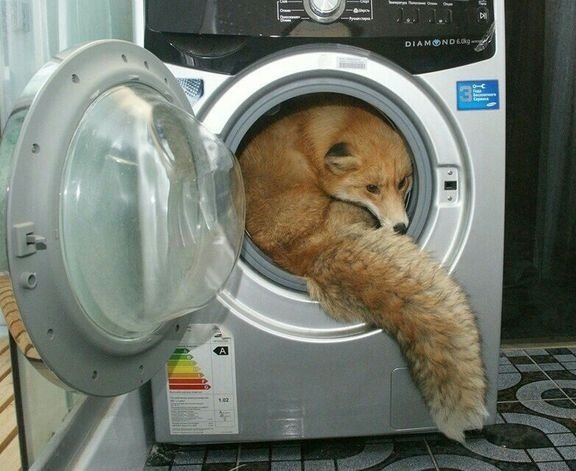 Joey_FS's tweet photo. This is my home now, your clothes are your own problem https://t.co/wZHESHpCYy