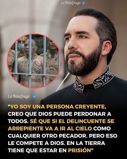 SoledadPapazian's tweet photo. https://t.co/cMjcZ5yHXm
