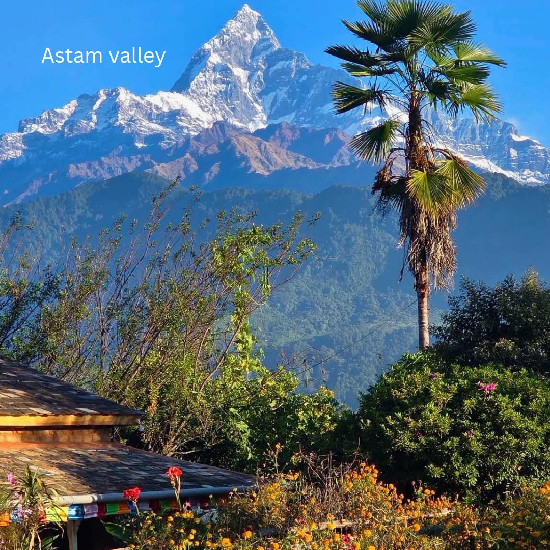 parasmagartrek's tweet photo. Slept in village, woke up to Annapurna view, and Forgot the city entirely. https://t.co/sSCKpArSlV