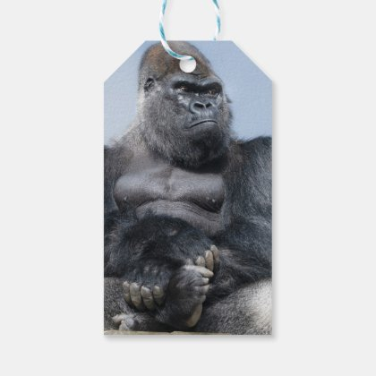 rawshutterbug's tweet photo. Silverback Oumbi And Gorilla Ozala Gift Tags https://t.co/7FuqSpgLns via @zazzle https://t.co/UlvJJ5Vb02