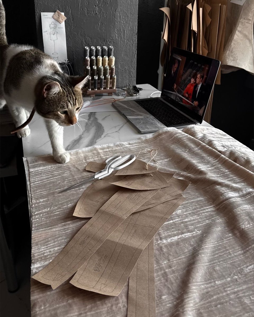 sunshinlia's tweet photo. bom dia com o meu ajudante garantindo que os moldes fiquem todos retinhos 🐾 https://t.co/GFuXfK79BJ