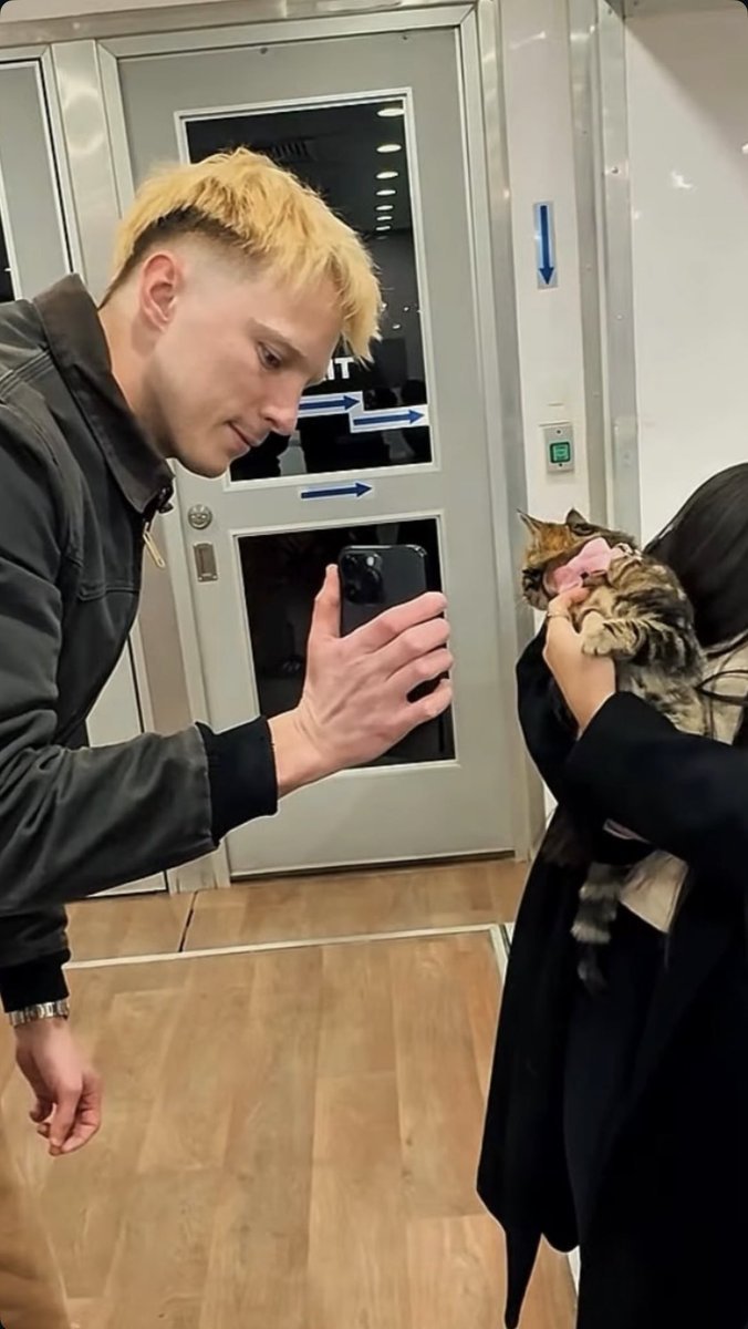 starkeyavenue's tweet photo. what if he was introducing piper to that kitty https://t.co/daDWLgCakg