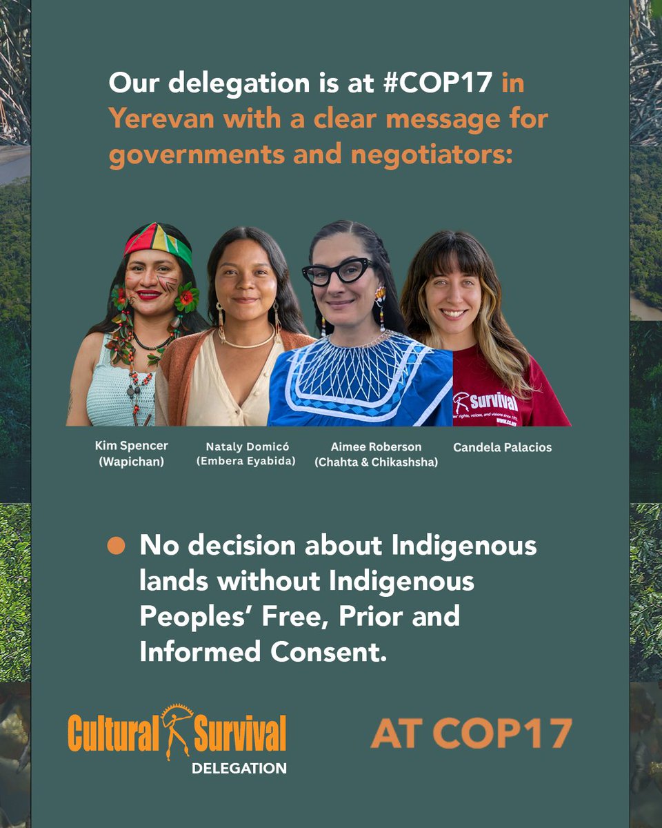 CSORG's tweet photo. Our delegation is at #COP17 in Yerevan with a clear message: no decisions about Indigenous lands without consent, conservation without eviction, direct funding for communities, and a real Indigenous voice at the CBD. #IndigenousRights 

https://t.co/faI482Og5o https://t.co/PDzSaEoUza