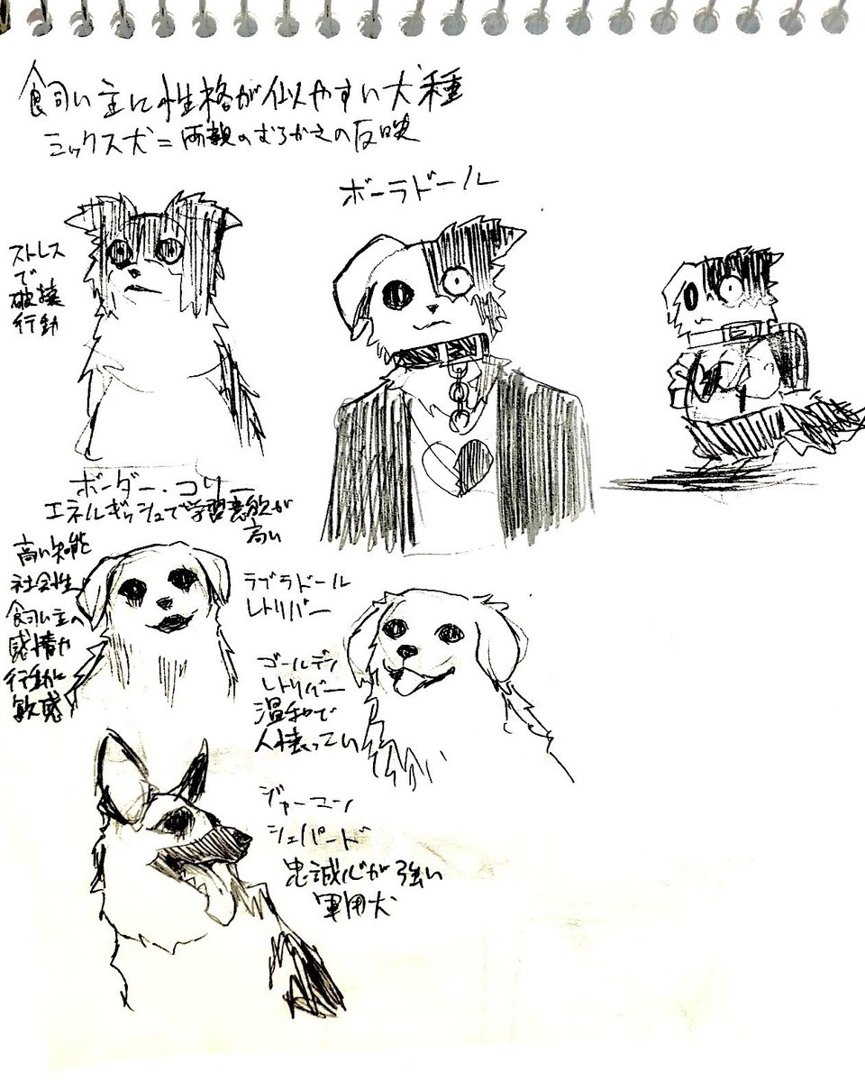 Rewritemare's tweet photo. ミックス犬の獣人キャラ練ってたときの https://t.co/Kf6pApVEjZ