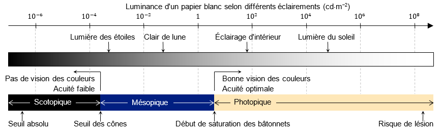 LessardMario3's tweet photo. 2/3
...le seuil de sensibilité max est décalée vers le bleu ( 1700 lm/W-507 nm vs 683 lm/W-555 nm). Ces lumières bleues dans le champ de vision, non seulement nous éblouissent, mais détruisent la rhodospsine (scotopique) qui peut prendre plusieurs minutes à regénérer. https://t.co/nFDpudx9K0