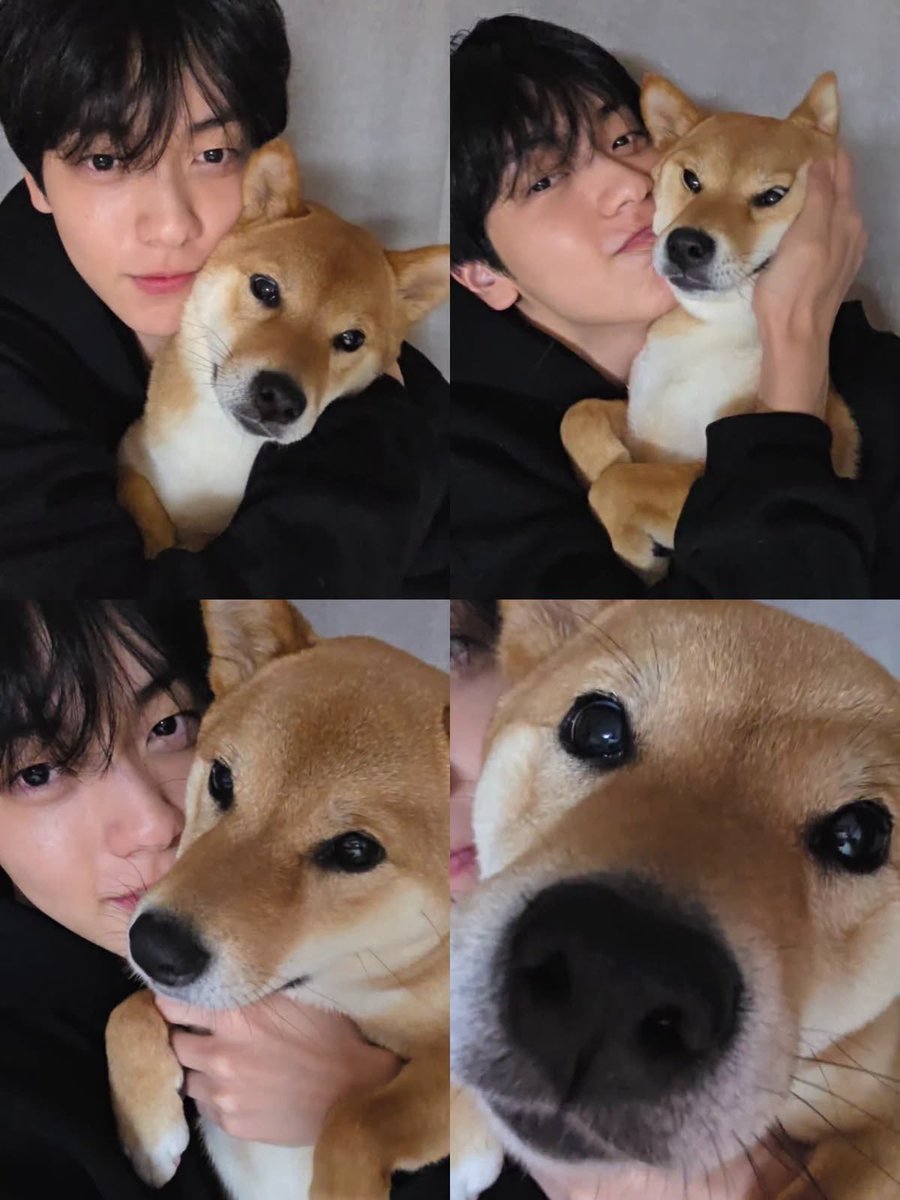 L0VELYBEOMIE's tweet photo. to our home, 숩 🤍

i just wish for you to always be safe, happy, and surrounded by kindness. you have such a genuine heart, and i hope life continues to be gentle with you, even on days when the world isn’t.

i hope you always have reasons to smile. i hope you’re always surrounded by the love of your family and friends, and of course, us moas, who will always love you and wish nothing but the best for you. we may not be able to protect you from everything, but we’ll continue doing what we can to make this place even a little bit safer and kinder for you.

i hope you never forget that there are so many people who truly care about your happiness, your peace, and your well-being.

you’ve given so many of us warmth and comfort, and i hope life gives that same warmth back to you tenfold. you deserve nothing less, soobin. always. 🤍

#AlwaysWithSoobin