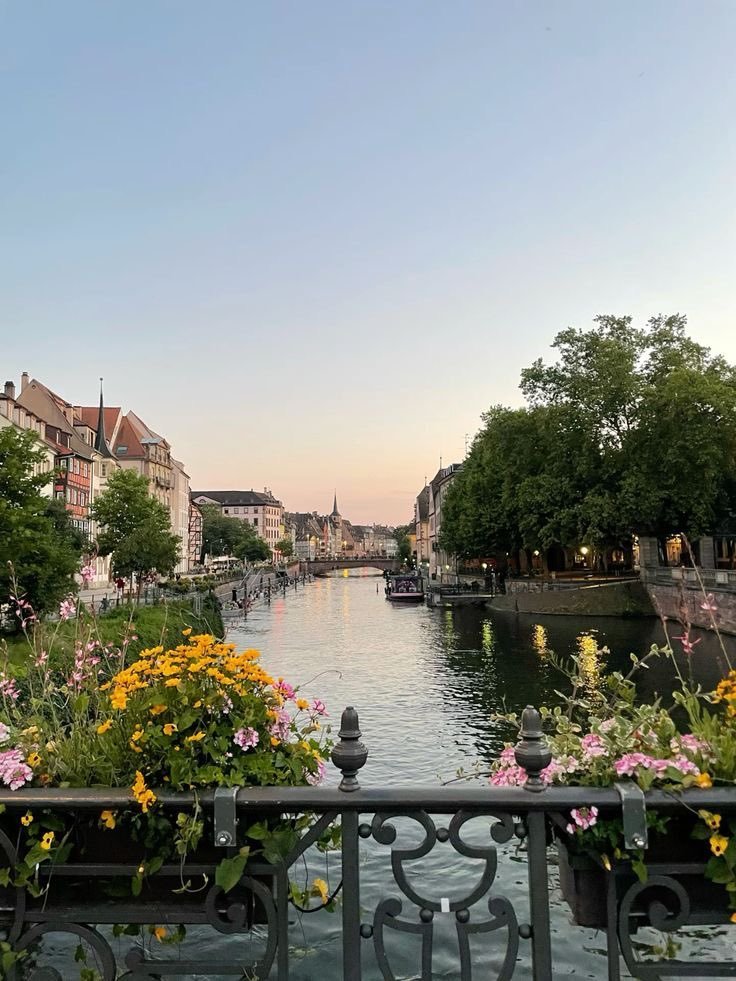 Alina_bloom79's tweet photo. Strasbourg, France.. https://t.co/LVojA9nzx6