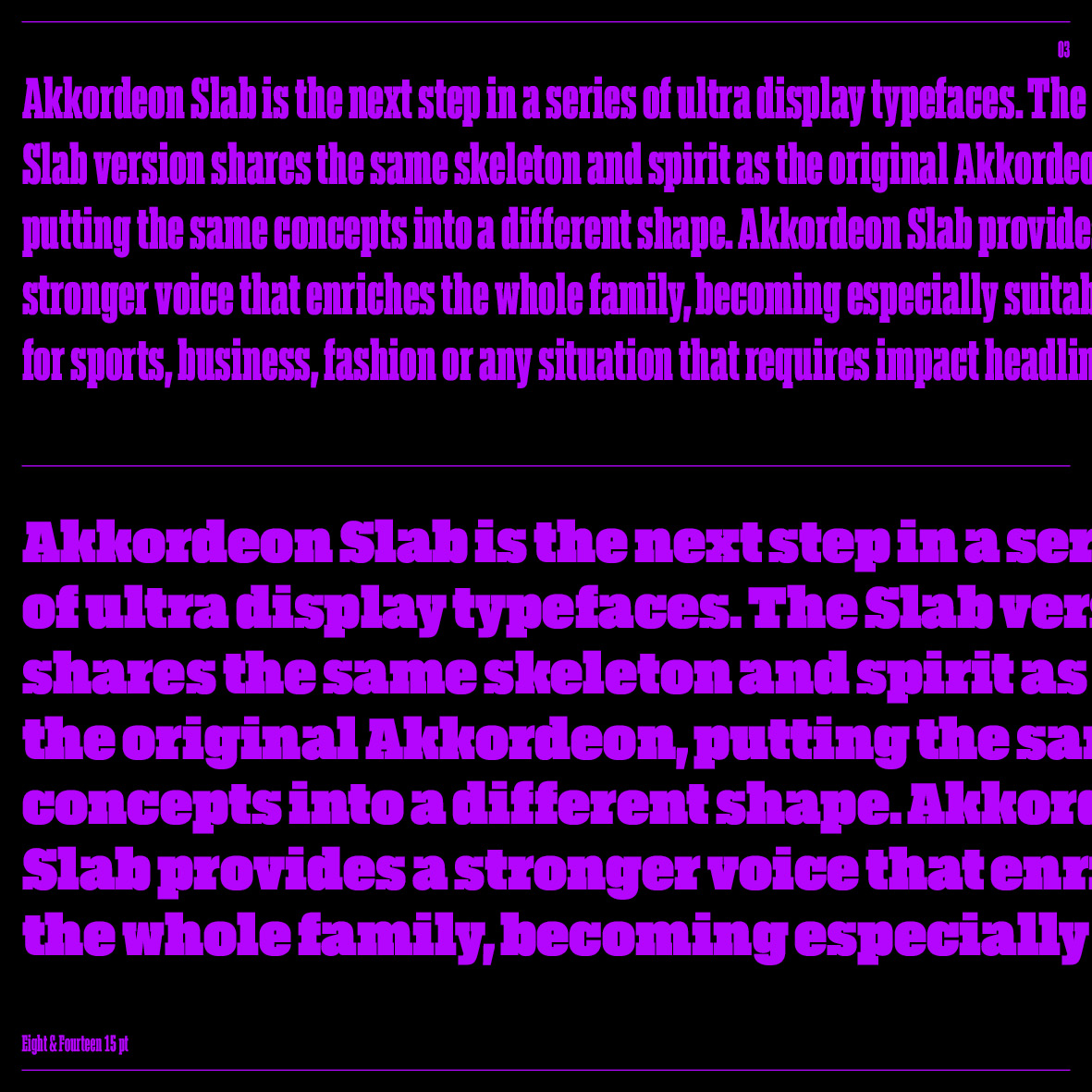 emtype's tweet photo. Akkordeon Slab typeface 
https://t.co/swQGYp39Nq