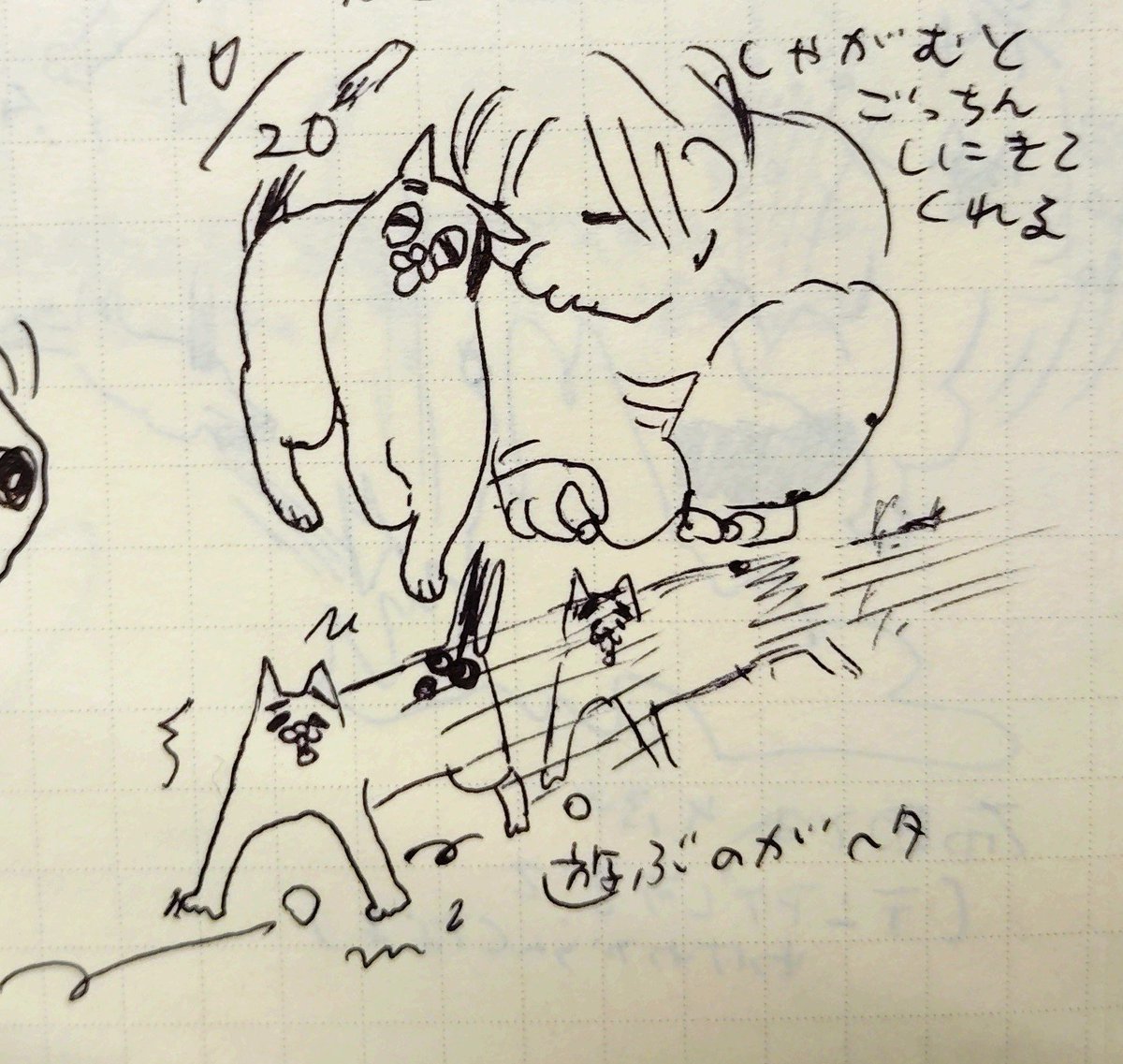 onyanturunuru tweet picture