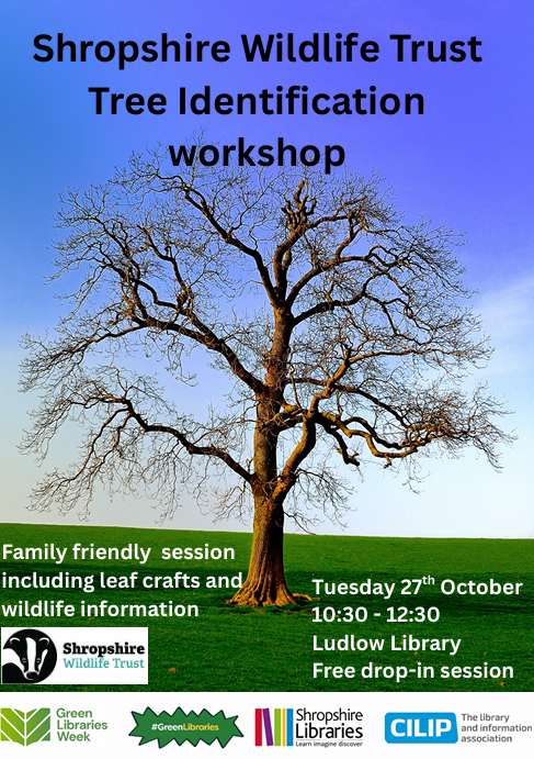 LudlowLibrary's tweet photo. Free 1/2 term fun! 🌿 🍂 https://t.co/XNyW2qpU6y