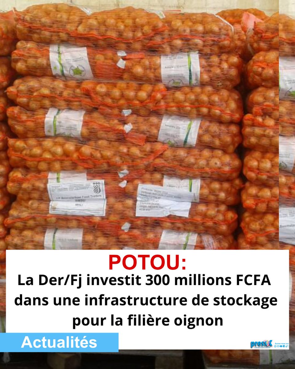 Pressafrik's tweet photo. Filière oignon : la Der/Fj finance à hauteur de 300 millions FCFA une infrastructure de stockage à Potou

https://t.co/llj5B4wnPV

#Potou #Oignon #DerFj #Agriculture #Stockage #Sénégal #actualité #pourtoi #kebetu https://t.co/S9KNgrTq3u