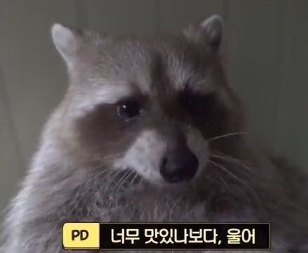 zpdlx_'s tweet photo. @zrgfvo https://t.co/Xvl9lHXDa8