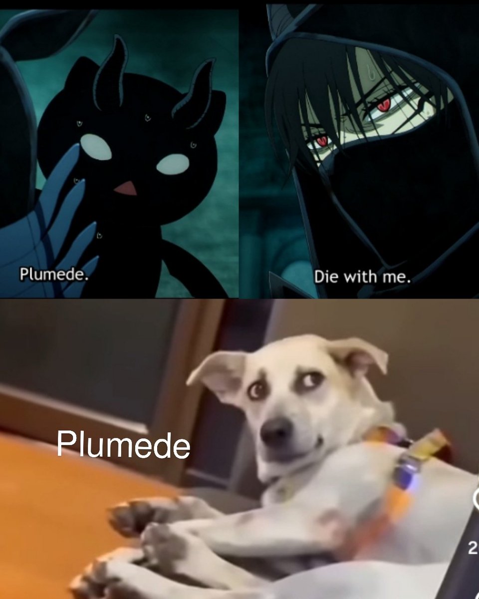 HikariSuzuki14's tweet photo. Poor Plumede 😭 https://t.co/acCDIHxkPX