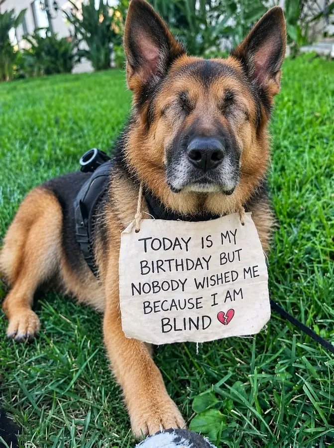 Kathy27715L's tweet photo. Today is my birthday, but nobody wished me because I am blind." https://t.co/1hi3TPnaD0