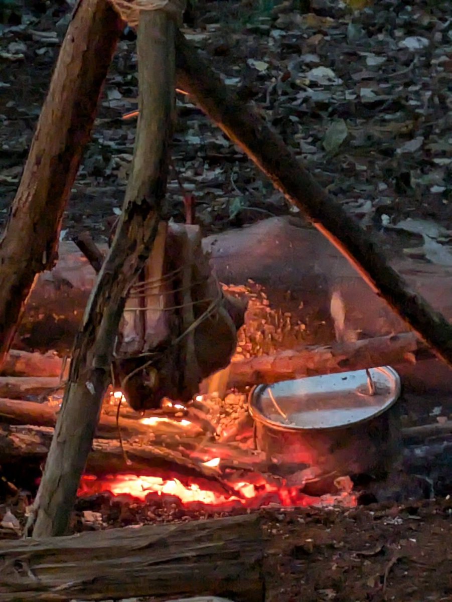 Hide_coconuts tweet picture