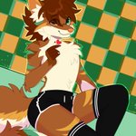 Photo by Paint (Coms open!) (@DIGNOTIONS)