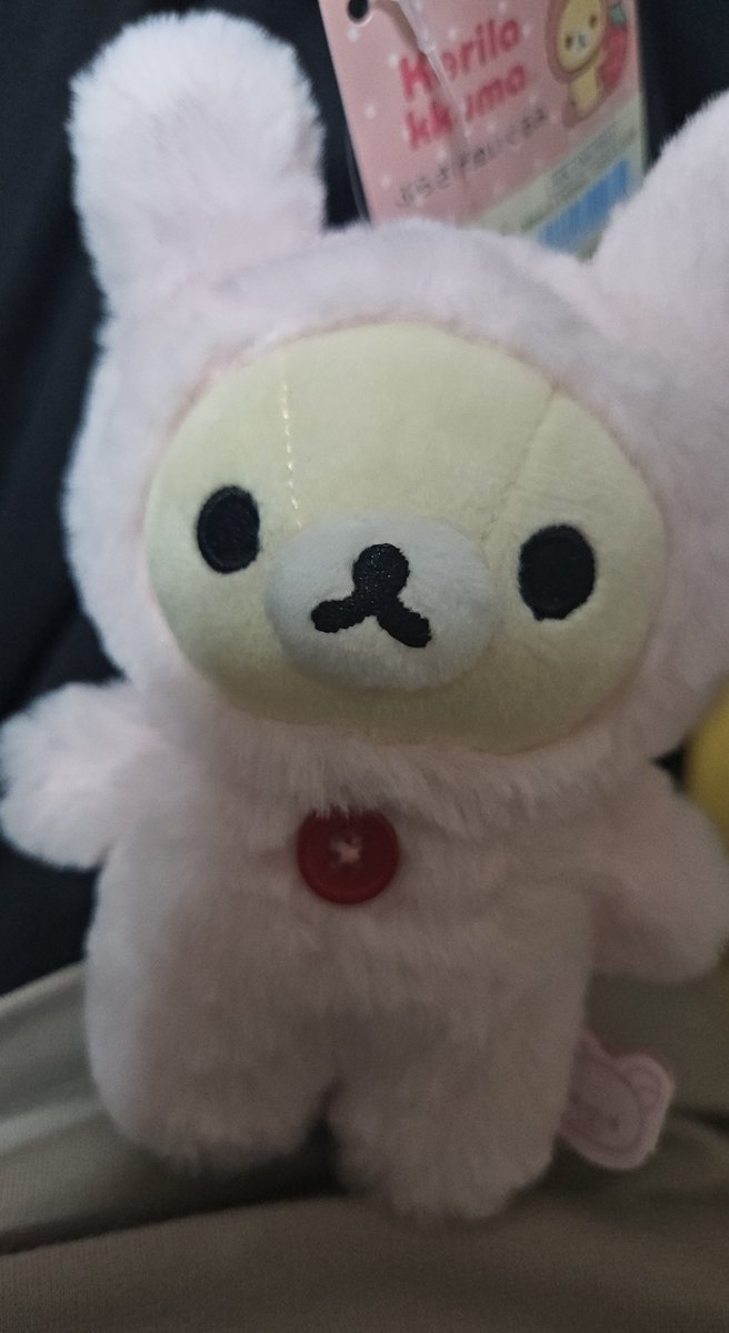 suptokki's tweet photo. 코리락쿠마 우사기 넘 기엽당 https://t.co/fCUGegqP0Q