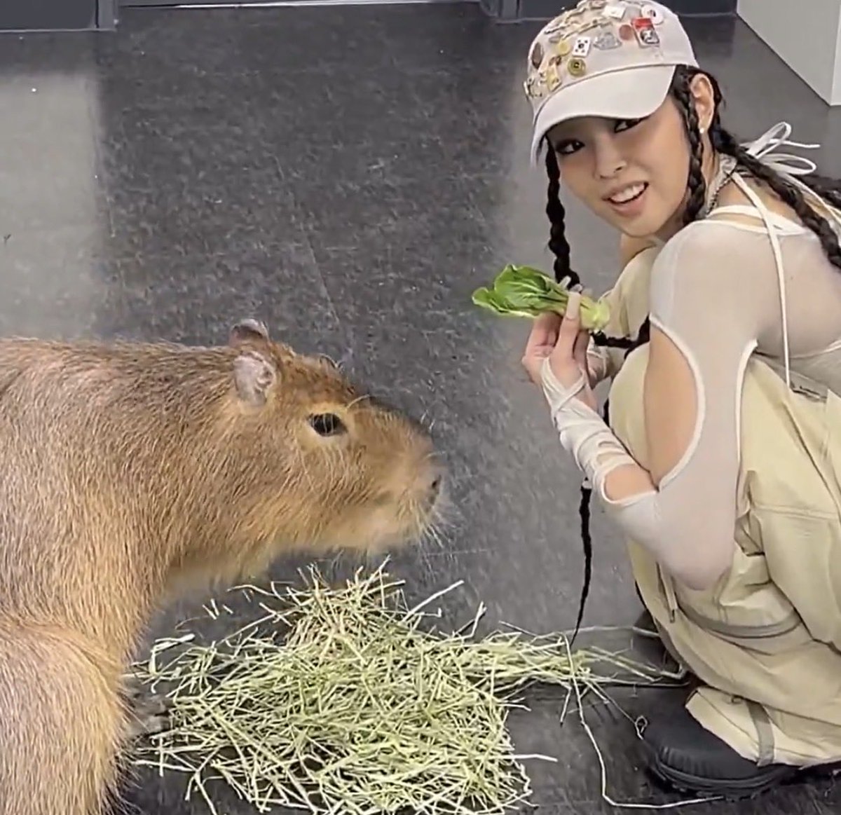 niniprotectors's tweet photo. THOUGH SHE LIKES DOGS, JENNIE EXPRESSED THAT SHE'D RATHER SPEND A WHOLE DAY WITH A CAPYBARA INSTEAD, https://t.co/16IzZDWI3h