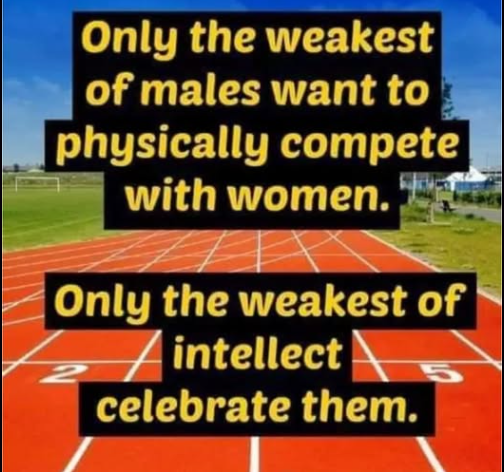 NumberEightNews's tweet photo. Feminists push the lie men and women are the same. https://t.co/U7o2nxomyP