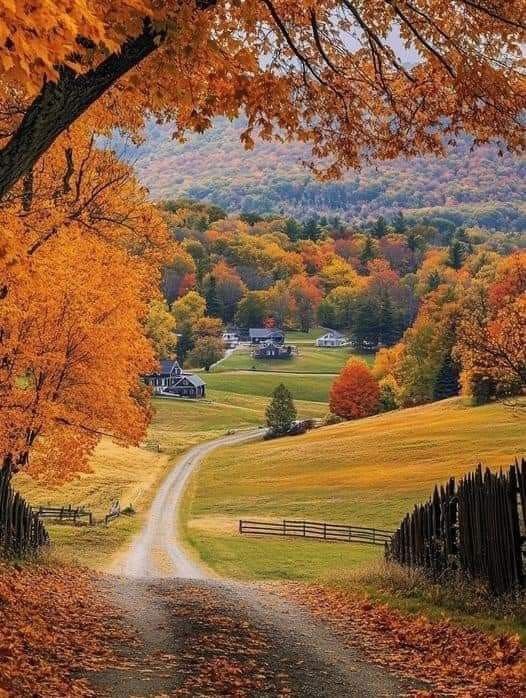 earthserenityy tweet picture