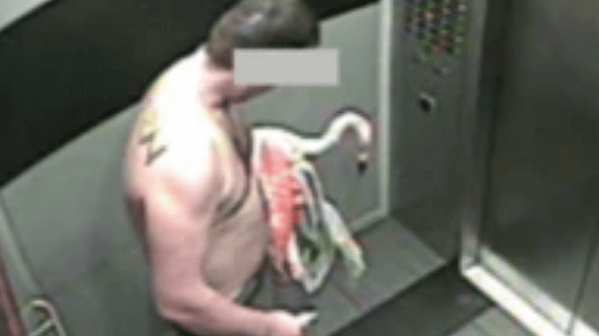 ladbible's tweet photo. Tourist who stole flamingo in Las Vegas after '30-40 beers' faces four years in jail https://t.co/XwXClwjd4A https://t.co/SRgu1sk5xp