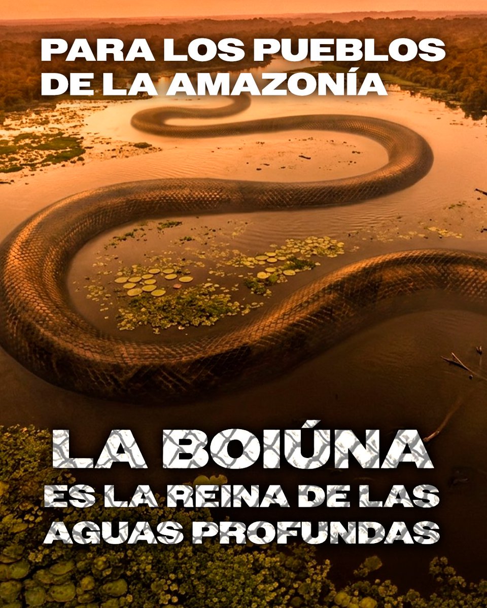 MediagroupPY's tweet photo. Inspirada en los fósiles de la prehistórica Titanoboa, Boiúna despierta de las profundidades
🎬TERROR EN EL AMAZONAS - Desde el 22 de octubre en cines 🐍🍿
#TerrorEnElAmazonas https://t.co/gShHjfeChF