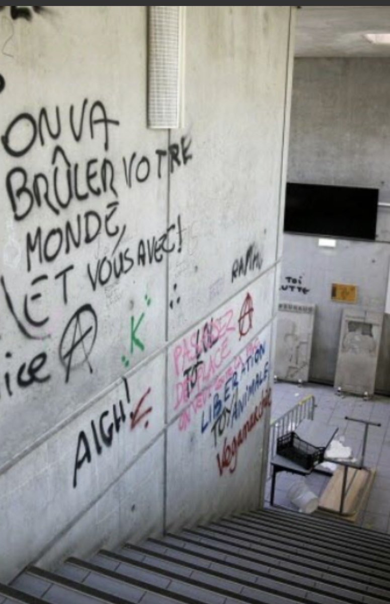 stop_violence_z's tweet photo. @ALeaument Faux c’est bien LFI qui a mis le feu à la France. Et c’était prémédité ! https://t.co/FYjSPjfPtf