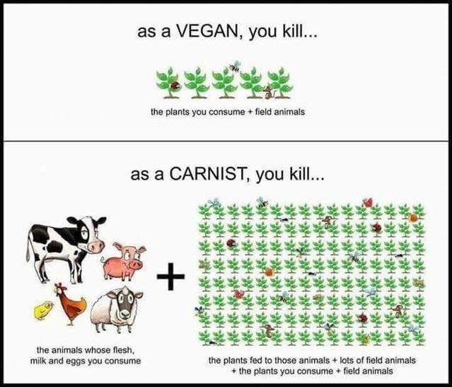 MapleTMP's tweet photo. @KMakwabara91070 @baselessassert It is practical, and isn't taxxing to do what humans have done for thousands of years. Millions are doing so right now. https://t.co/DUyy8r4Rc7
