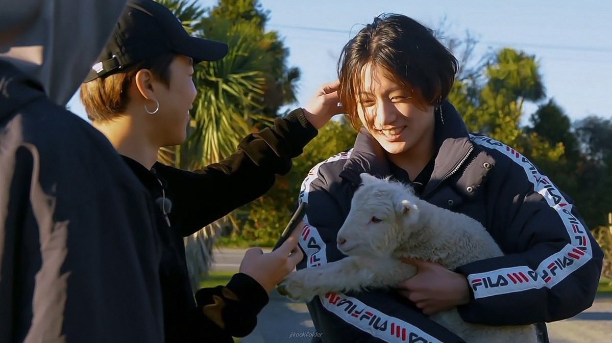 archivekoomi's tweet photo. petting jungkook when the lamb IS RIGHT FUCKING THERE JIMIN https://t.co/zL3rgWfesq